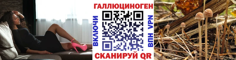 Галлюциногенные грибы GOLDEN TEACHER  купить наркотики сайты  Волгоград 